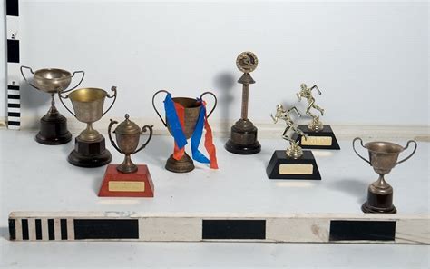 Assorted Sporting Trophies Propco
