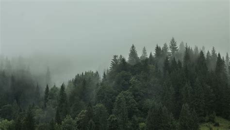 4k Timelapse Of Misty Fog Blowing Over Mountain With Pine Tree Forest
