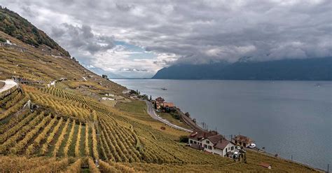 Terrasses De Lavaux Vineyards Hike The Swiss Wine Trail