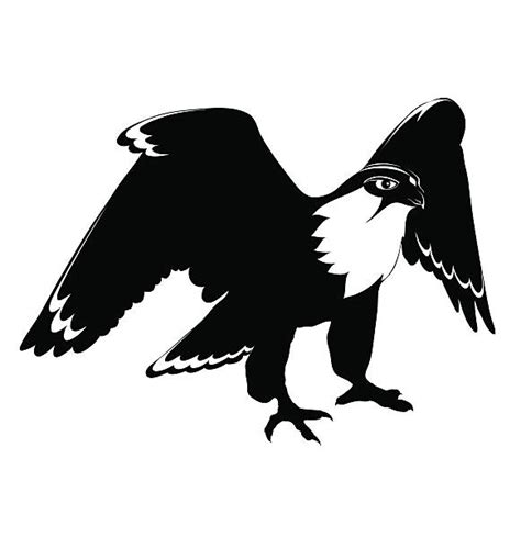 Silhouette Of The Peregrine Falcon Illustrations Royalty Free Vector