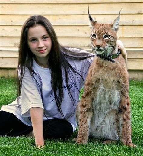 Sophia Is Wild About Her Pet Lynx