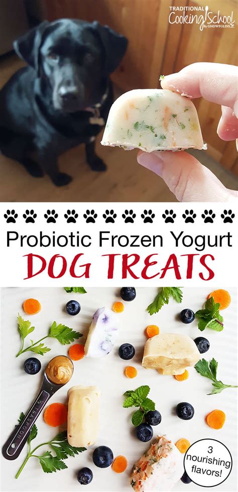 Dog probiotics warnings, reviews, and manufacturer coupons. Probiotic Frozen Yogurt Dog Treats — 3 Nourishing Flavors!