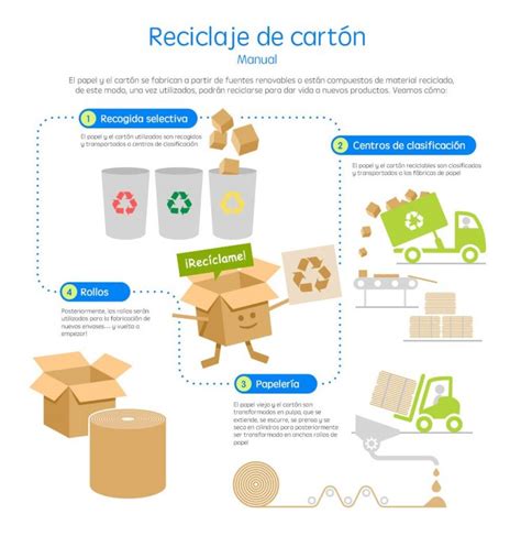 Cómo Funciona El Reciclaje De Cartón Rajapack Embalajes España