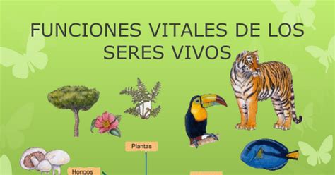 FUNCIONES VITALES DE LOS SERES VIVOS Pptx Google Slides
