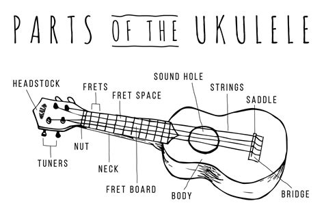 Pin On Ukes In Library Collection