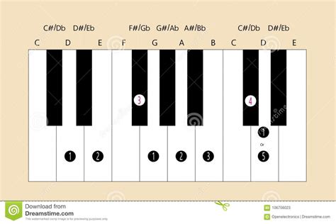 D Major Scale Fingering For Piano Stock Illustration Illustration Of