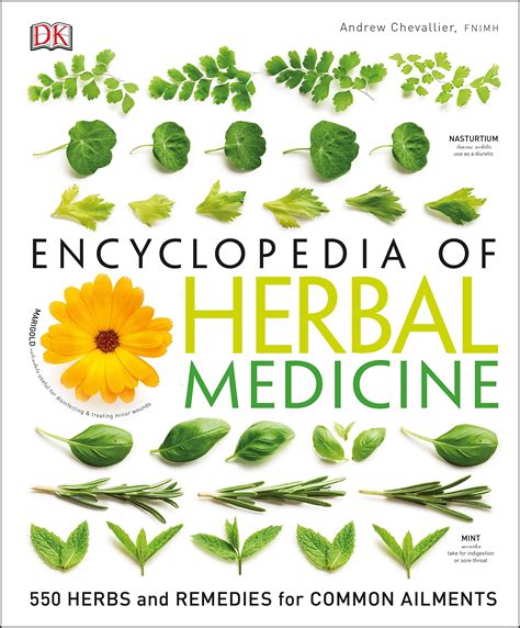 Herbal Remedies: 's Sensational Herbal Cures