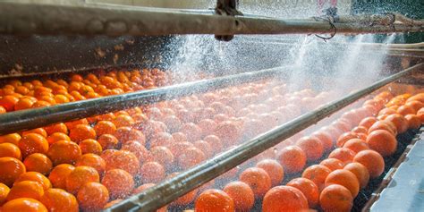 Turning Food Waste Into High Value Products Turning Food Waste Into