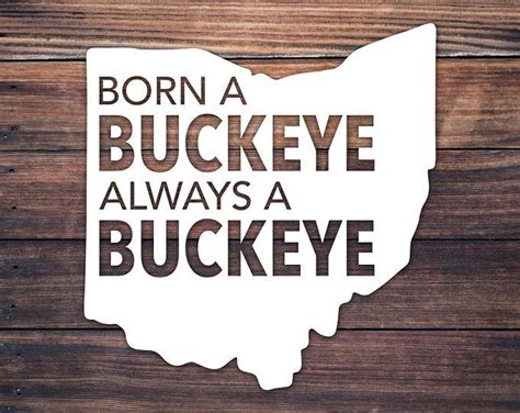 Ohio State Buckeyes Quotes Ohio State Logo Buckeyes Football The
