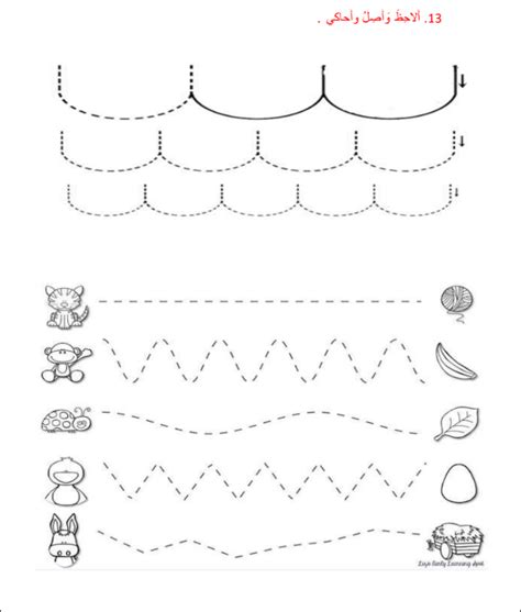 Australian Animals Tracing Lines Activity For Early Years Pre K 1