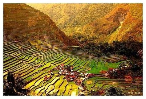 The 8th Wonders Of The World Banaue Rice Terraces By Brenethguting On Youpic