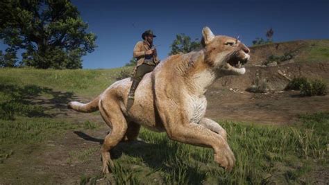 Прохождение rdr 2 на 100%. Red Dead Redemption 2: monta lobos y pumas gigantes ...