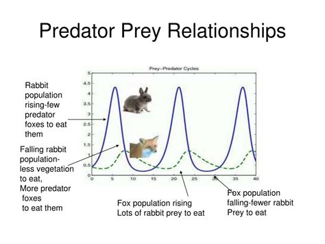 Predator And Prey Chart