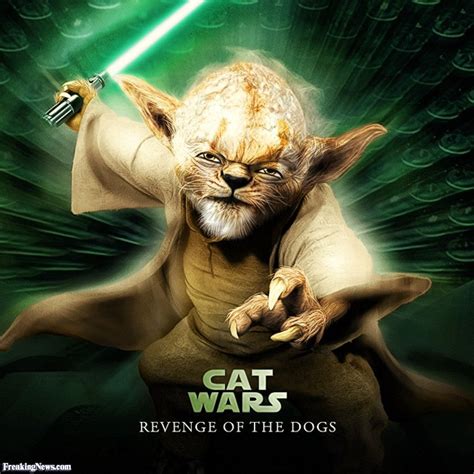 Pin By Crazy Cat Ladies Unite On Cats And Star Wars Star Wars Artwork