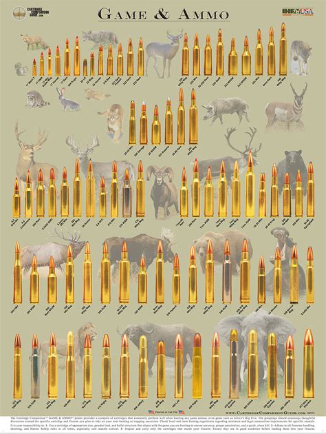 Wall Poster Illustrates Hunting Cartridges And Game