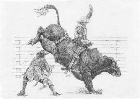 rodeo four drawings wetcanvas bull riding bucking bulls western art