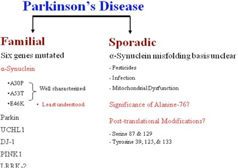 Figure 4 From Insight Into Familial And Sporadic Parkinsons Disease α