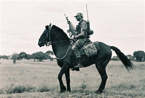 An Operator From The Greys Scouts Mounted Infantry Unit Of The
