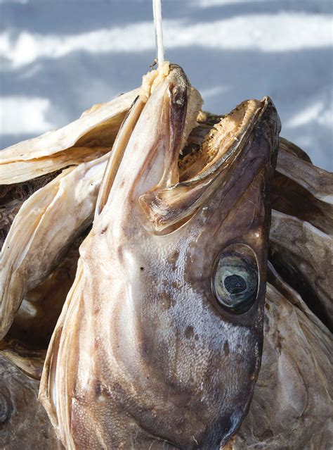 Stockfish Frames Svolvær Stay And Roam