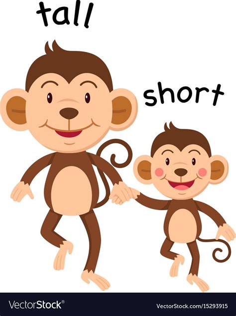 Comparing Tall And Short Ingles Niños Actividades De Aprendizaje