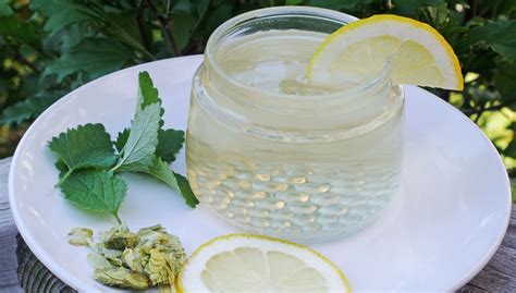 Can't Sleep? Try This Lemon Balm Tea | Lemon balm tea ...