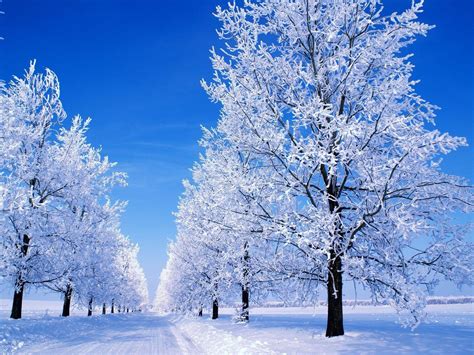 Beautiful Snowfall Wallpapers Top Free Beautiful Snowfall Backgrounds