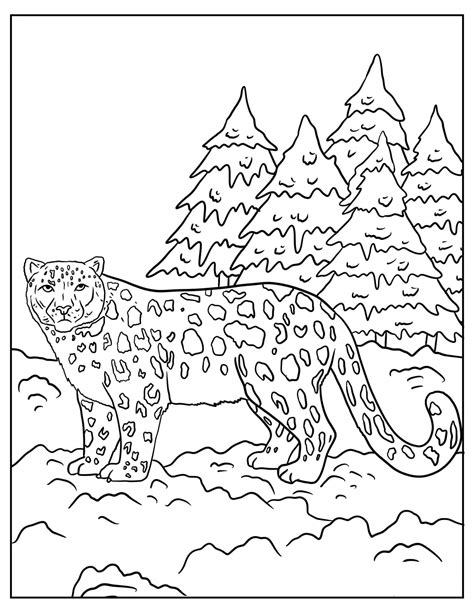 Leopardo Simple Para Colorear Imprimir E Dibujar Coloringonlycom