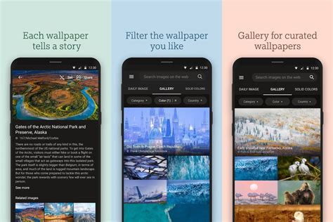 Microsofts Newest Android App Bing Wallpapers Features 10 Years Worth
