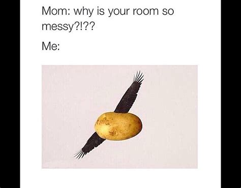 Home > meme sounds 2019 > a potato flew around my. A Potato Flew Around My Room Wallpaper / A Potato Flew ...