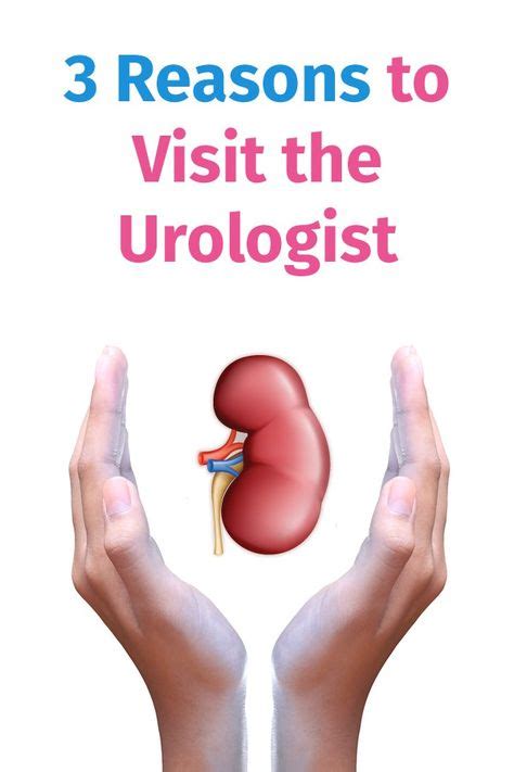 14 Best Tips To Optimum Urology Health Images Health Tips Health Tips
