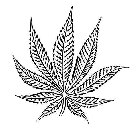 Marijuana drawing images stock photos vectors shutterstock. Marijuana Plant Drawing at GetDrawings | Free download