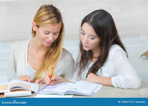 Two Teenage Girls Doing Homework Stock Image Image Of Teenager Teenage 123597713