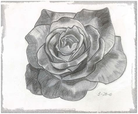 Rosas Imagenes Para Dibujar Chidas Este Album De Rosa
