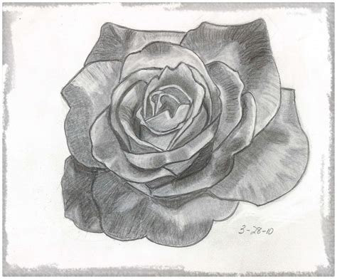 Resultado de imagen para dibujos de rosas chidas | Roses drawing