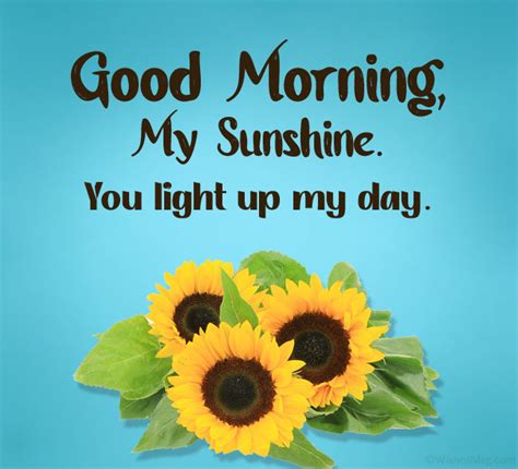 Let the sunshine so bright and remove all the worries from your life. 120+ Good Morning Love Messages and Wishes | WishesMsg