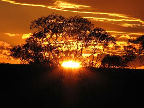 Clouds Dusk Evening Sky Golden Sunset Landscape Nature Outback