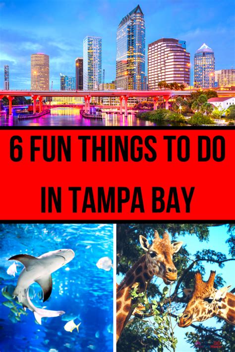 5 Fun Things To Do In Tampa With Citypass Themeparkhipster