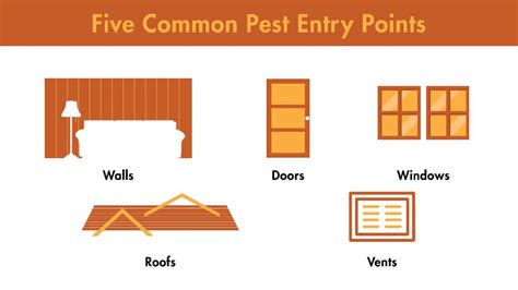 Keeping Them Out A Home And Business Guide To Pest Prevention Lloyd