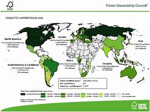 Who Is The Forest Stewardship Council Mx Wood Practical Solutions To