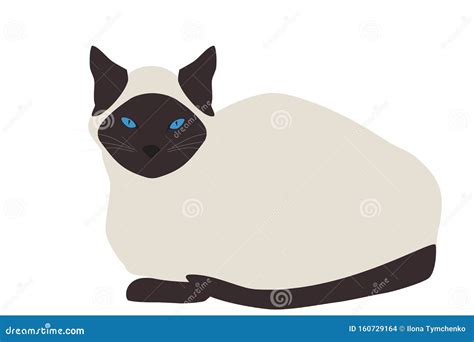 Siamese Cat Isolated On White Background Vector Eps 10 Stock Vector