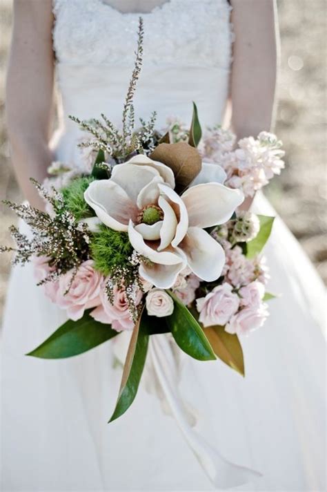 Magnolias are widely grown as ornamental trees. 137 best Magnolia Wedding images on Pinterest | Flower ...