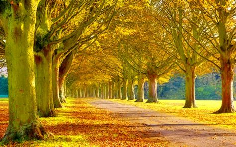 20 Beautiful Nature Autumn Wallpapers Basty Wallpaper