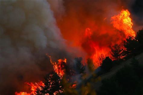 Geçen yıl meydana gelen 2411 orman yangınından 1280'inin çıkış nedeni aydınlatılamadı. Türkiye'de orman yangınları: 2019 nasıl geçti, araziler ne ...