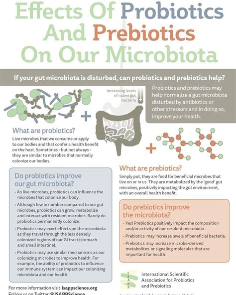 Probiotics And Prebiotics It Can Be Confusing As To The Difference