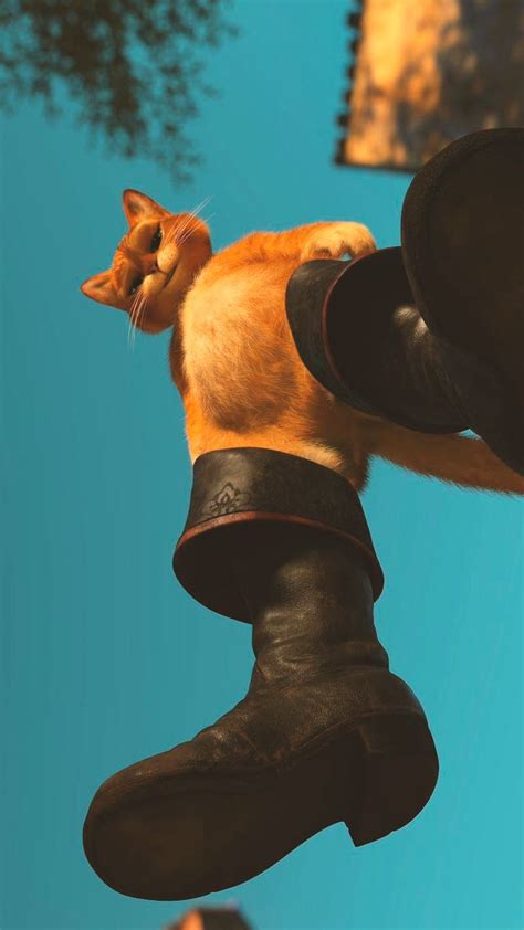 An Orange Cat Sitting On Top Of A Pair Of Black Shoes And Looking Up At The Sky