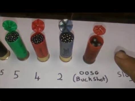 Shot size anywhere from buckshot to #8's and all of the most popular shell lengths for your favorite shotgun. Shotgun Basics, shot size. - YouTube