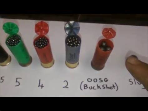 Shotgun shell sizes comparison chart and commonly used terms. Shotgun Basics, shot size. - YouTube