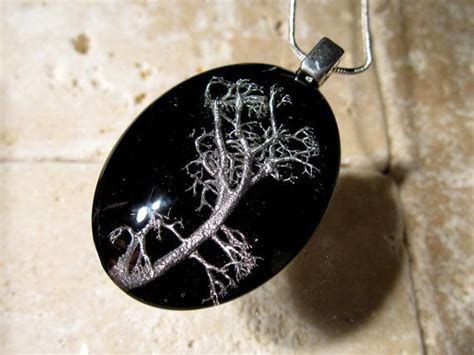 Reindeer Lichen Oval Glass Necklace Moss Jewelry Plant Etsy Moss
