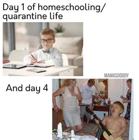 60 Absolutely Hilarious Homeschool Memes Jokes And Cartoons For Moms