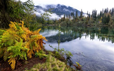 Nature Mountain Forest Landscape Fog Lake Ultrahd 4k Wallpaper